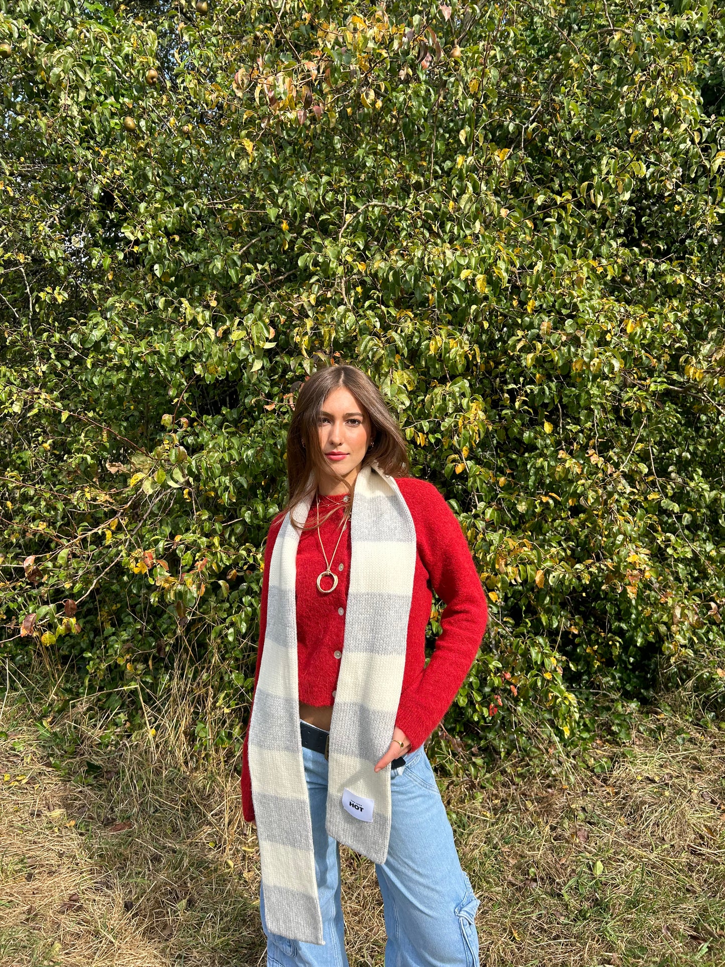 The YLH Scarf - Grey & Cream